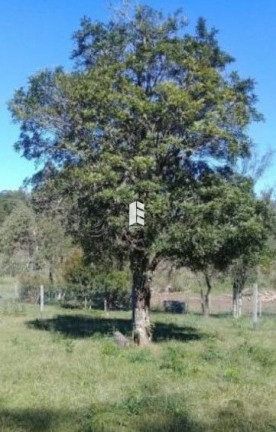 Imagem Terreno à Venda, 2.000 m² em Etelvina - Itaara Imagem Terreno à Venda, 2.000 m² em Etelvina - Itaara