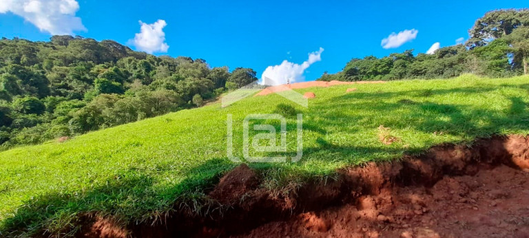 Imagem Imóvel com 1 Quarto à Venda, 44.000 m² em Roseira - Bandeira Do Sul