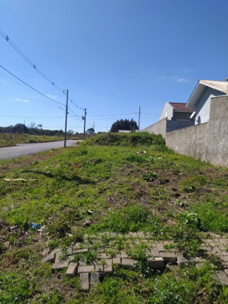 Imagem Terreno à Venda, em Centro - Contenda Imagem Terreno à Venda, em Centro - Contenda