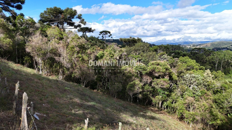 Imagem Terreno à Venda, 1.245 m² em Região Do Atalaia - Campos Do Jordão Imagem Terreno à Venda, 1.245 m² em Região Do Atalaia - Campos Do Jordão
