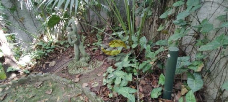 Imagem Terreno à Venda, 2.560 m² em Jardim Colibri - Cotia Imagem Terreno à Venda, 2.560 m² em Jardim Colibri - Cotia