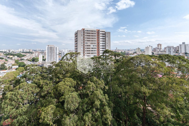 Imagem Apartamento com 3 Quartos à Venda, 73 m² em Freguesia Do ó - São Paulo Imagem Apartamento com 3 Quartos à Venda, 73 m² em Freguesia Do ó - São Paulo