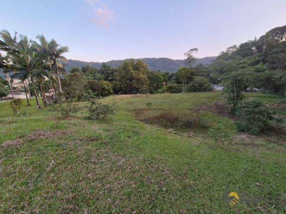 Imagem Chácara com 3 Quartos à Venda, 140 m² em Velha Central - Blumenau Imagem Chácara com 3 Quartos à Venda, 140 m² em Velha Central - Blumenau