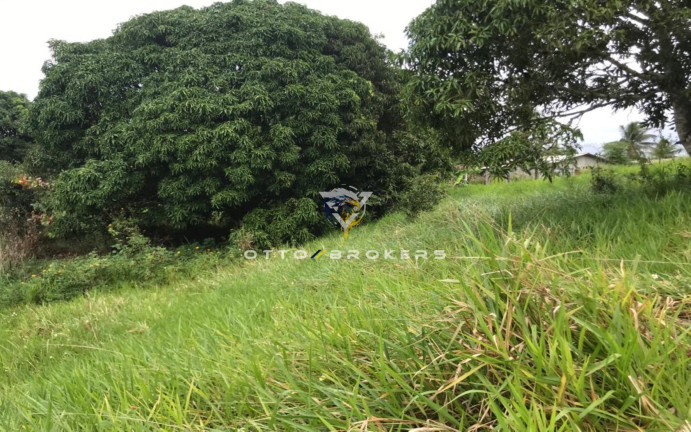 Imagem Terreno à Venda, 7.500 m² em Tânia - Santa Cruz Cabrália