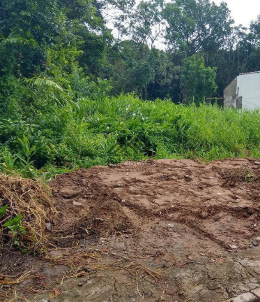 Imagem Terreno à Venda, 300 m² em Jardim Suarão - Itanhaém