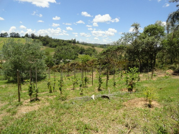 Imagem Terreno para Alugar ou Temporada, 5.003 m² em Residencial São Domingos - Jundiaí Imagem Terreno para Alugar ou Temporada, 5.003 m² em Residencial São Domingos - Jundiaí