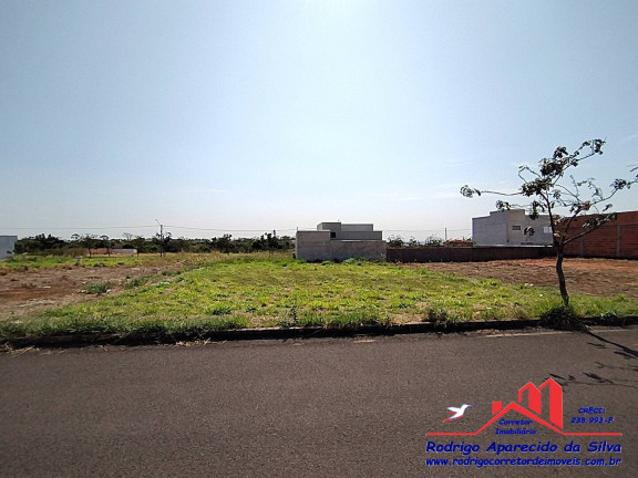 Imagem Terreno à Venda, 250 m² em Parque Das árvores Ii - Birigui Imagem Terreno à Venda, 250 m² em Parque Das árvores Ii - Birigui
