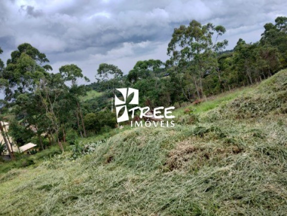 Imagem Terreno à Venda, 125 m² em Fazenda Velha - Arujá Imagem Terreno à Venda, 125 m² em Fazenda Velha - Arujá