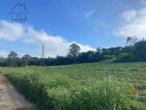 Imagem Terreno à Venda, 194 m² em Parque Santa Rosa - Suzano Imagem Terreno à Venda, 194 m² em Parque Santa Rosa - Suzano