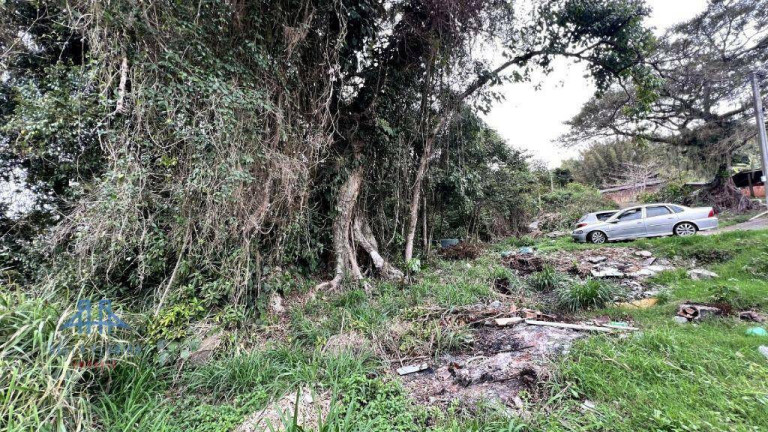 Imagem Terreno à Venda, 13.177 m² em Canasvieiras - Florianópolis Imagem Terreno à Venda, 13.177 m² em Canasvieiras - Florianópolis