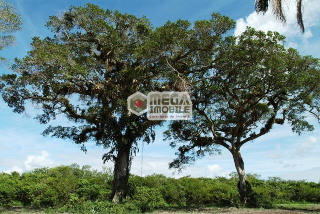 Imagem Terreno à Venda, 450 m² em Cachoeira Do Bom Jesus - Florianópolis