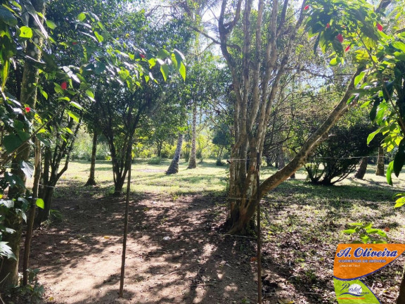 Imagem Chácara com 1 Quarto à Venda, 100 m² em Ubatumirim - Ubatuba