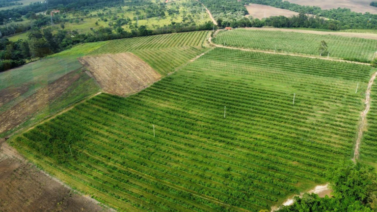 Imagem Chácara à Venda, 35 m² em Itu Imagem Chácara à Venda, 35 m² em Itu
