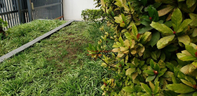 Imagem Apartamento com 1 Quarto para Alugar, 65 m² em Jardim Paulista - São Paulo