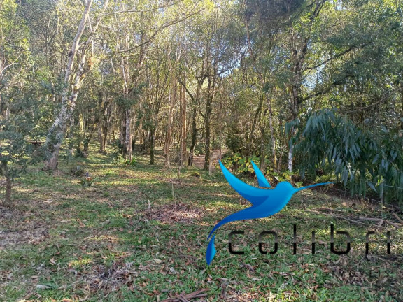Imagem Chácara com 2 Quartos à Venda, 6.000 m² em Palmital - Agudos Do Sul