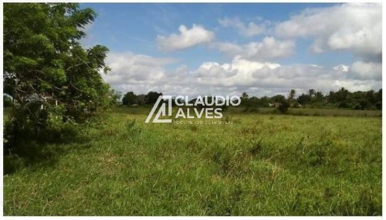Imagem Terreno à Venda, 13.000 m² em Br 324 - Amélia Rodrigues Imagem Terreno à Venda, 13.000 m² em Br 324 - Amélia Rodrigues