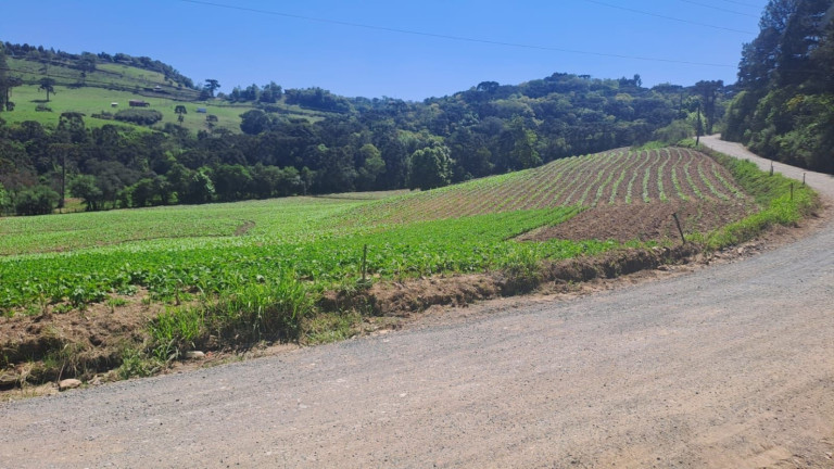 Chácara à Venda, 158.000 m² em Zona Rural - Boqueirão Do Leão