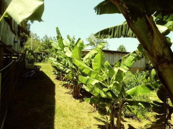 Imagem Imóvel com 2 Quartos à Venda, 99 m² em Fazenda Fialho - Taquara Imagem Imóvel com 2 Quartos à Venda, 99 m² em Fazenda Fialho - Taquara