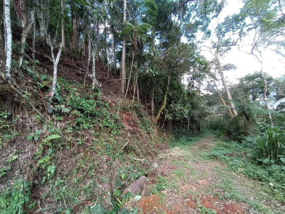 Imagem Terreno à Venda, 3.213 m² em Cascata Dos Amores - Teresópolis Imagem Terreno à Venda, 3.213 m² em Cascata Dos Amores - Teresópolis