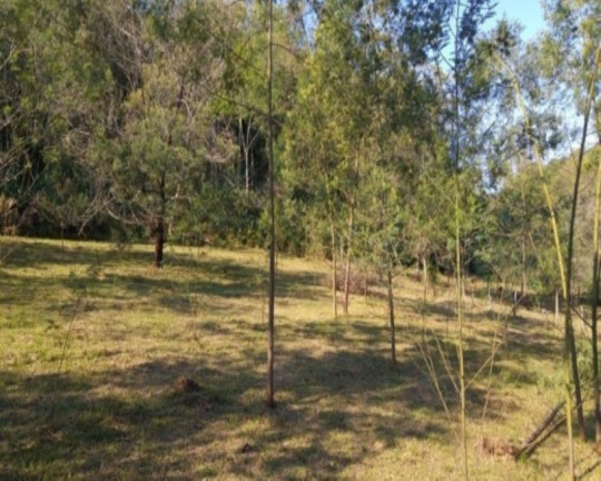 Imagem Terreno à Venda, 3 m² em Fazenda Pirajá - Nova Petrópolis Imagem Terreno à Venda, 3 m² em Fazenda Pirajá - Nova Petrópolis