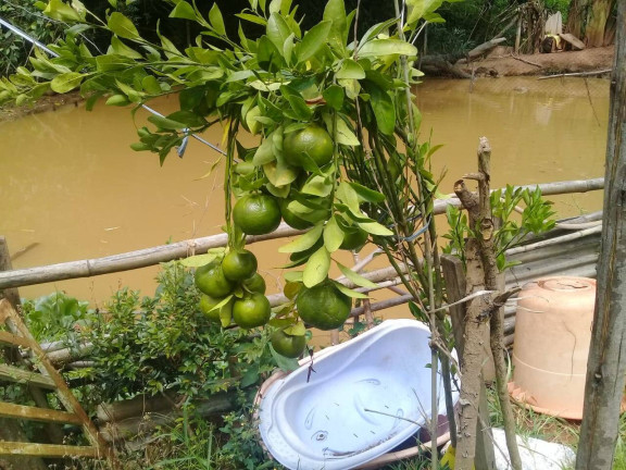 Imagem Chácara com 2 Quartos à Venda, 1.100 m² em Cuiabá - Nazaré Paulista