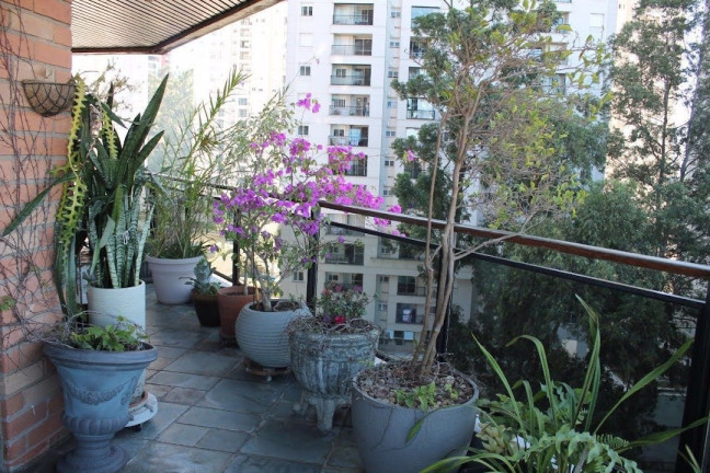 Imagem Apartamento com 4 Quartos à Venda, 200 m² em Vila Andrade - São Paulo Imagem Apartamento com 4 Quartos à Venda, 200 m² em Vila Andrade - São Paulo