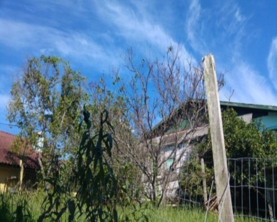 Imagem Casa com 3 Quartos à Venda, 100 m² em Pousada Da Neve - Nova Petrópolis