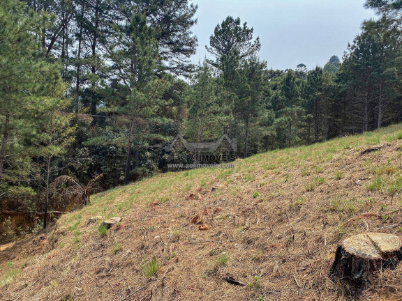 Imagem Terreno à Venda, 1 m² em Vale Encantado - Campos Do Jordão Imagem Terreno à Venda, 1 m² em Vale Encantado - Campos Do Jordão