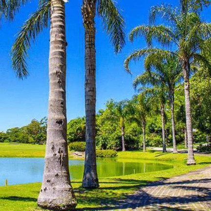 Imagem Terreno à Venda, em Ingleses Do Rio Vermelho - Florianópolis Imagem Terreno à Venda, em Ingleses Do Rio Vermelho - Florianópolis