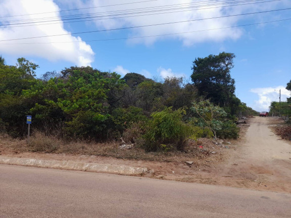 Imagem Terreno à Venda, 1.000 m² em Praia De Sibaúma - Tibau Do Sul Imagem Terreno à Venda, 1.000 m² em Praia De Sibaúma - Tibau Do Sul