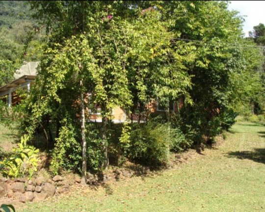 Imagem Imóvel à Venda,  em Linha Pirajá Baixa - Nova Petrópolis