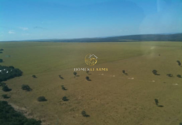 Imagem Imóvel com 3 Quartos à Venda, 7.546 m² em Zona Rural - Nobres Imagem Imóvel com 3 Quartos à Venda, 7.546 m² em Zona Rural - Nobres