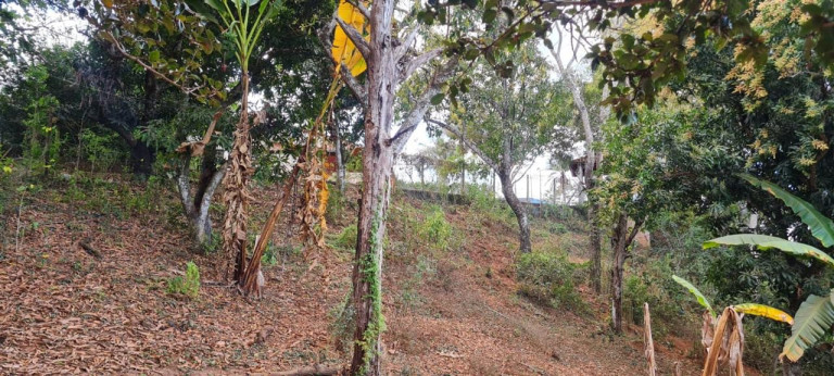 Imagem Imóvel com 3 Quartos à Venda, em Patrocinio Paulista - Patrocínio Paulista Imagem Imóvel com 3 Quartos à Venda, em Patrocinio Paulista - Patrocínio Paulista