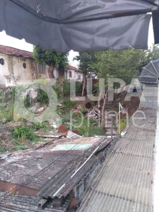 Imagem Terreno à Venda, 320 m² em Vila Maria Alta - São Paulo