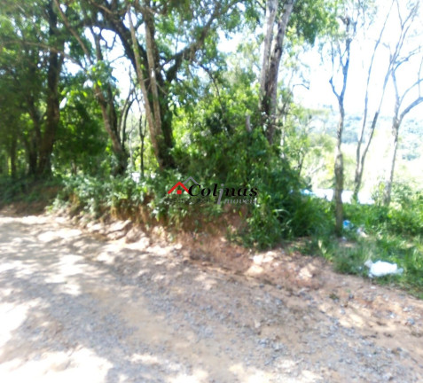 Imagem Terreno à Venda, 30.000 m² em Depois Do Centro - Ibiúna Imagem Terreno à Venda, 30.000 m² em Depois Do Centro - Ibiúna