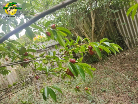 Imagem Chácara com 4 Quartos à Venda, 250 m² em Ibiúna