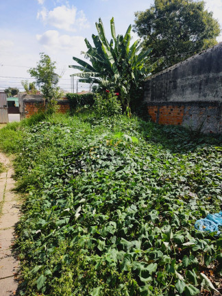 Imagem Terreno à Venda, 540 m² em Weissópolis - Pinhais Imagem Terreno à Venda, 540 m² em Weissópolis - Pinhais