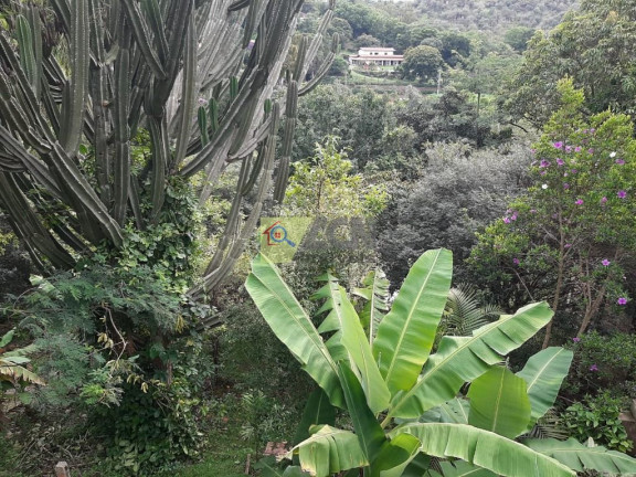 Imagem Imóvel com 4 Quartos à Venda, 300 m² em Parque Valinhos - Valinhos