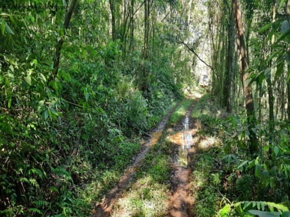 Imagem Terreno à Venda, 3 m² em São Jacó - Nova Petrópolis Imagem Terreno à Venda, 3 m² em São Jacó - Nova Petrópolis