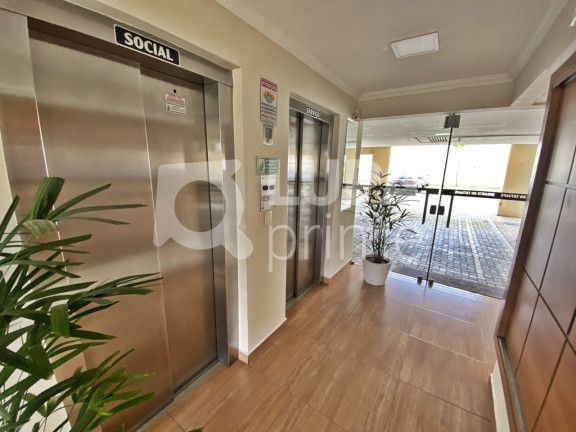 Imagem Apartamento com 3 Quartos para Alugar, 66 m² em Tatuapé - São Paulo Imagem Apartamento com 3 Quartos para Alugar, 66 m² em Tatuapé - São Paulo
