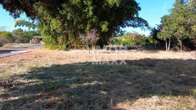 Imagem Terreno à Venda, 2.500 m² em Park Way - Brasília Imagem Terreno à Venda, 2.500 m² em Park Way - Brasília