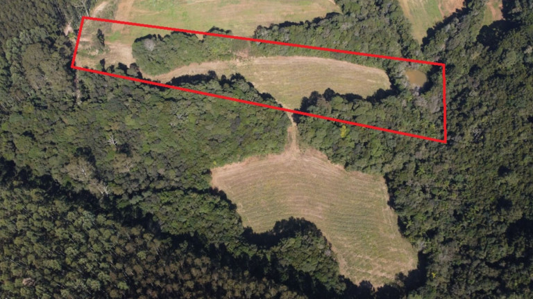 Imagem Fazenda à Venda, em Zona Rural - Araucaria Imagem Fazenda à Venda, em Zona Rural - Araucaria