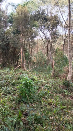 Chácara à Venda, 25 m² em Curitiba