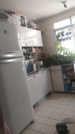 Imagem Apartamento com 2 Quartos à Venda, 60 m² em Jardim Caiapiá - Cotia Imagem Apartamento com 2 Quartos à Venda, 60 m² em Jardim Caiapiá - Cotia
