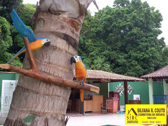 Imagem Chácara com 6 Quartos à Venda, 1 m² em Itaocaia Valley (itaipuaçu) - Maricá