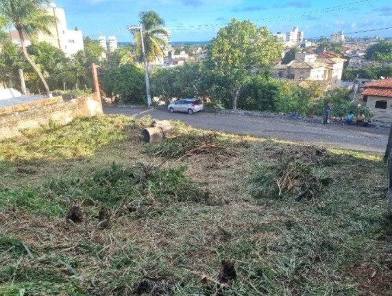 Imagem Terreno à Venda, 305 m² em Jardim Placaford - Salvador Imagem Terreno à Venda, 305 m² em Jardim Placaford - Salvador