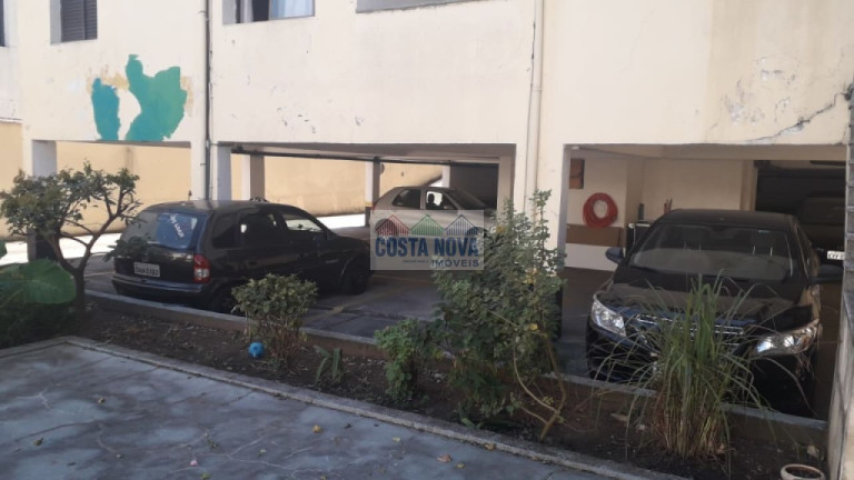 Imagem Apartamento com 2 Quartos para Alugar, 55 m² em Vila Guilherme - São Paulo Imagem Apartamento com 2 Quartos para Alugar, 55 m² em Vila Guilherme - São Paulo