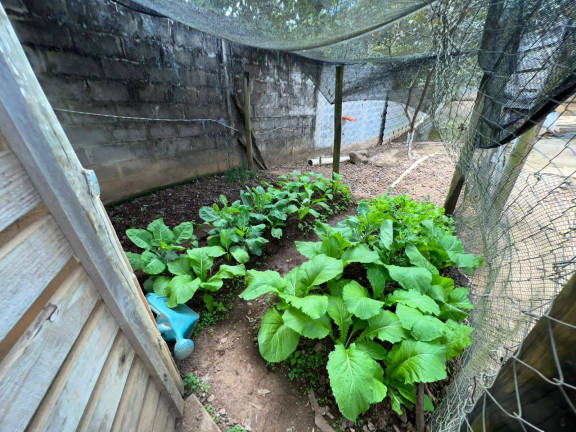 Imagem Chácara com 1 Quarto à Venda, 5.600 m² em Centro - Igarapé