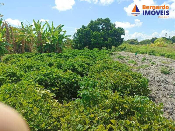 Imagem Chácara à Venda, 145 m² em Coqueiro Do Lagamar - Pindoretama Imagem Chácara à Venda, 145 m² em Coqueiro Do Lagamar - Pindoretama