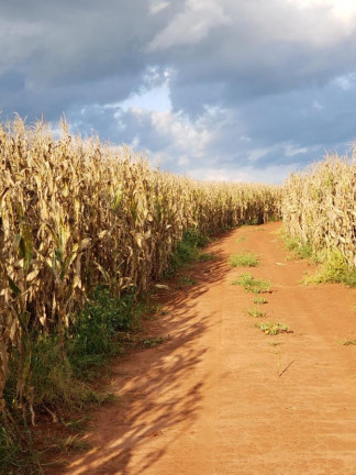 Imagem Fazenda à Venda, 2.178 m² em Rural - Itaí Imagem Fazenda à Venda, 2.178 m² em Rural - Itaí